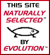 evolution_ss.gif (3401 bytes)