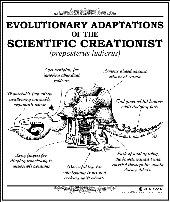 creationist.gif (45019 bytes)